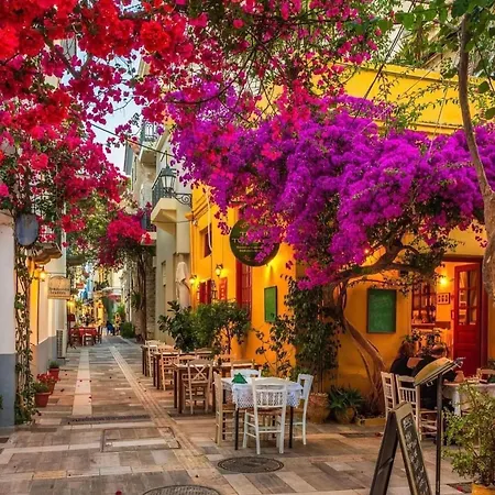 Artemis Nafplion Tolón