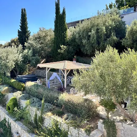Artemis Nafplion