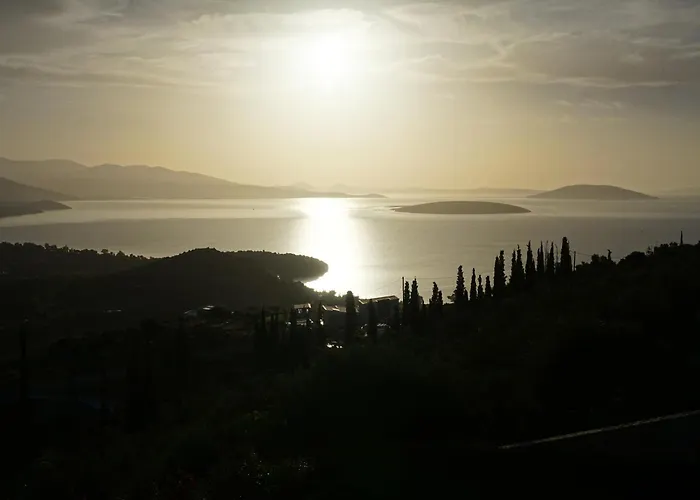 Artemis Nafplion Τολό