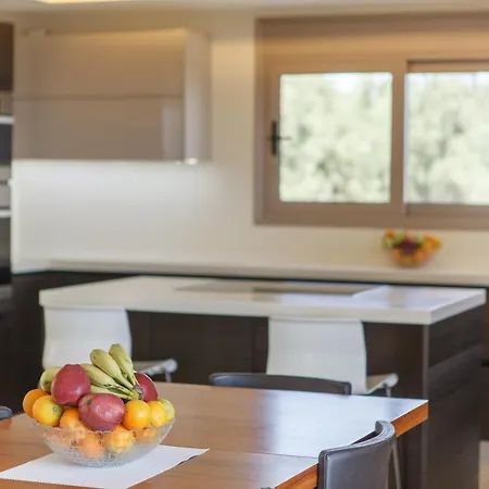 Artemis Nafplion * Tolón